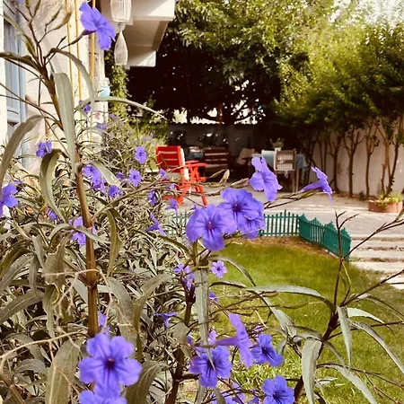 Mina By Adda Alacati 酒店 Çeşme